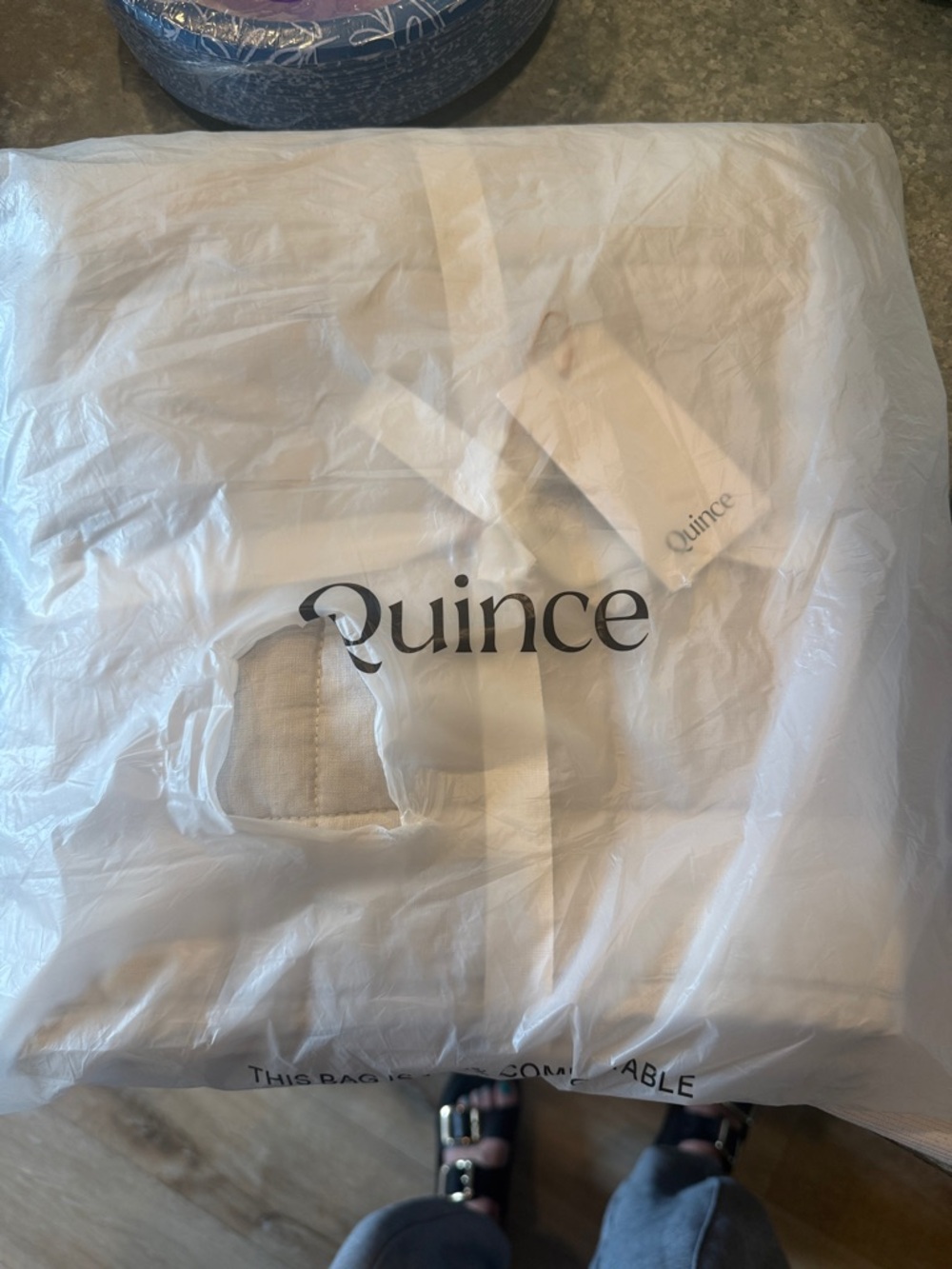 Quince Euro sham nwt